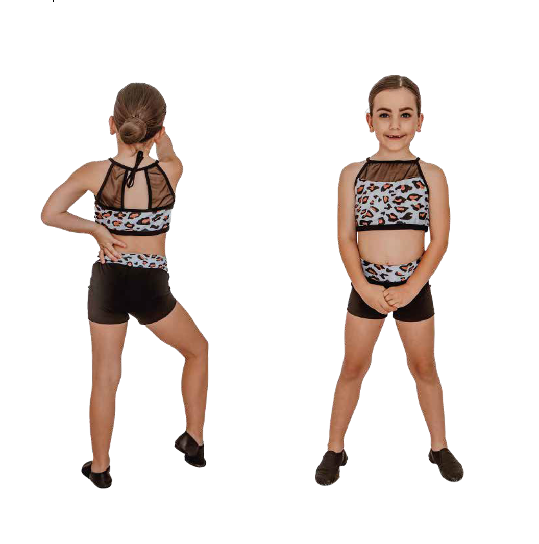 Cheetah Active Set